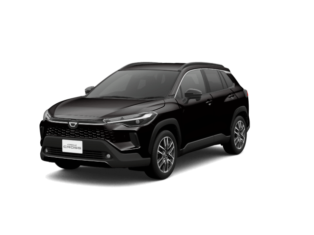 5位 ブラックマイカ〈209〉