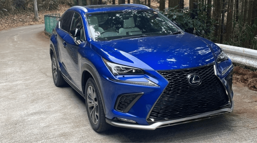 旧型レクサスNX 300h Fスポーツ ハイブリッドモデルのオーナー愛車写真