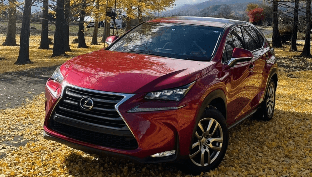 旧型レクサスNX 300 Fスポーツ ガソリンモデルのオーナー愛車写真