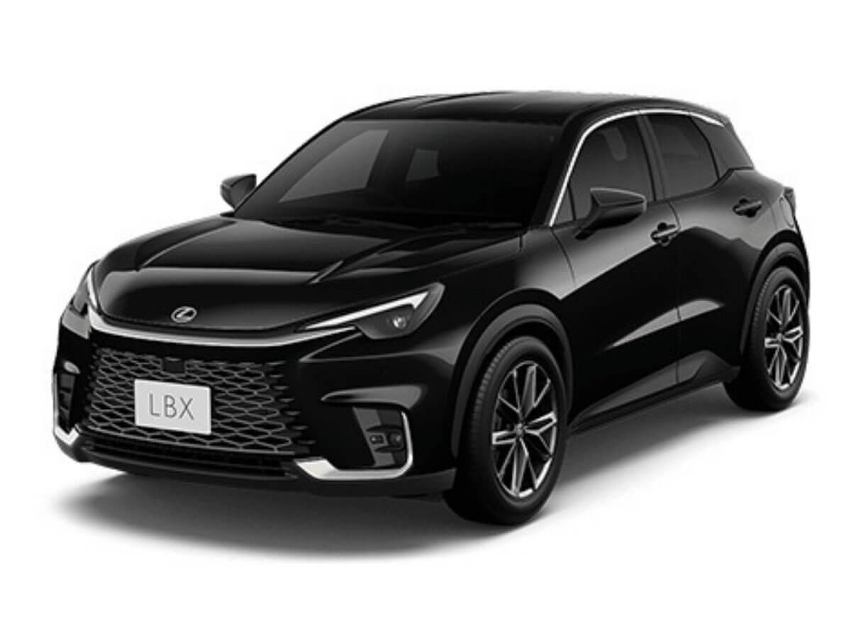 ブラックマイカ