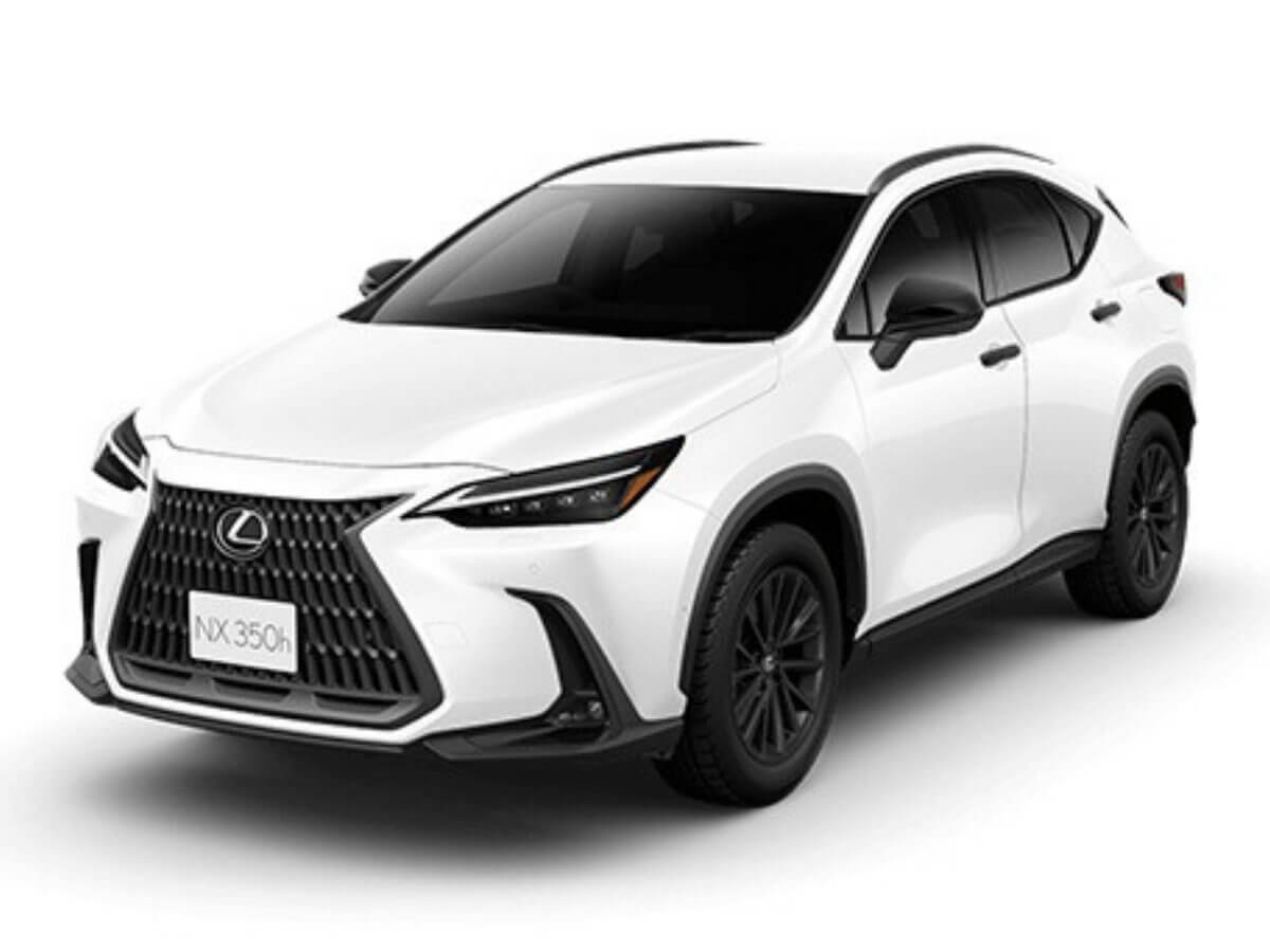 NX 250 ベース 2.5L ガソリン 2WD